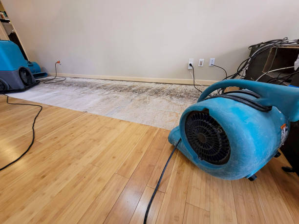 Professional Emergency Water Damage technician working in Amherst, MA